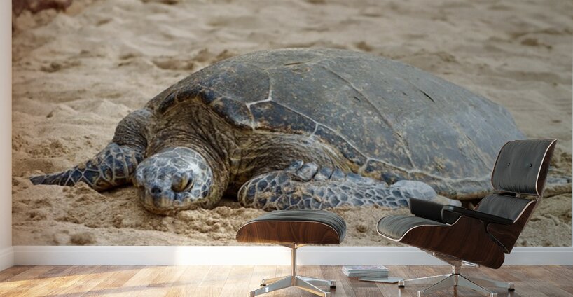 Maui Sea Turtle 3 Wall Murals