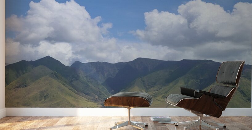 Maui Coast Wall Murals