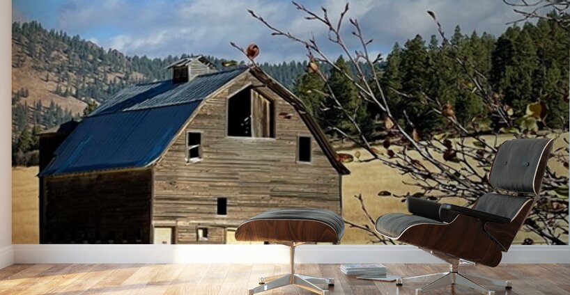 Dunford Barn 2 Wall Murals