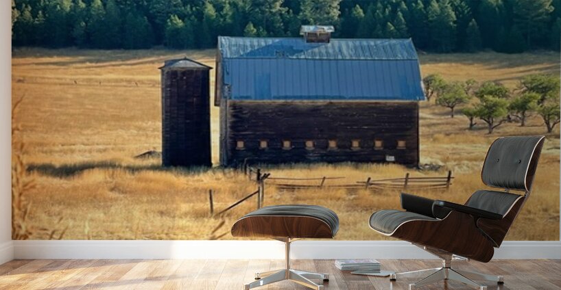 Dunford Barn 4 Wall Murals