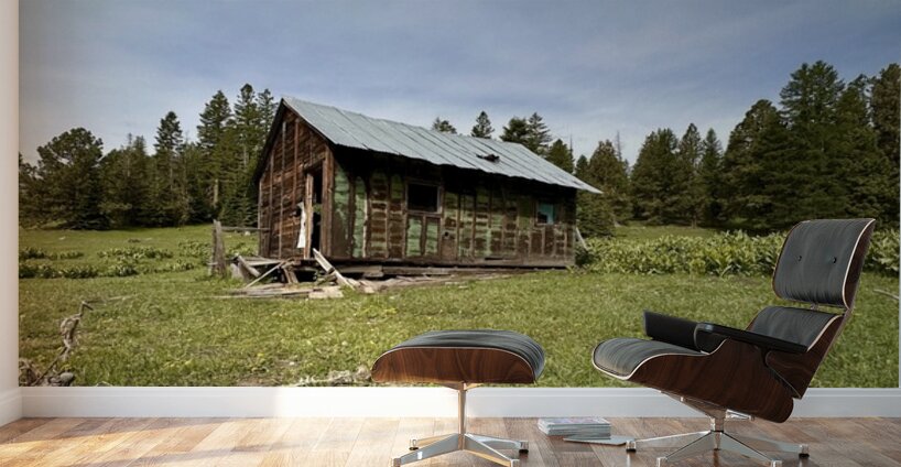 Colockum Ridge House Wall Murals