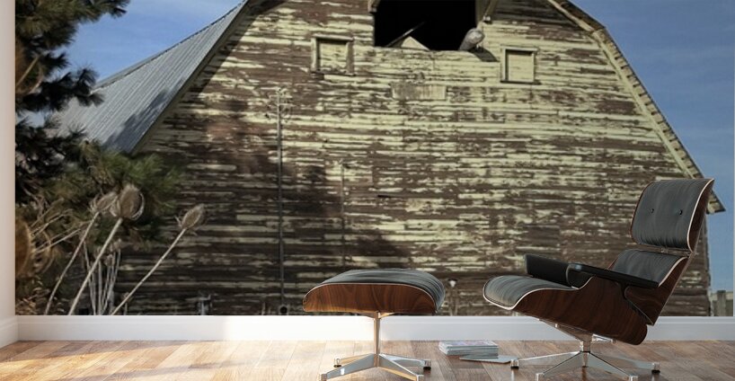 Colfax Barn 1 Wall Murals