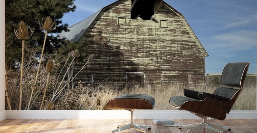 Colfax Barn 2 Wall Murals