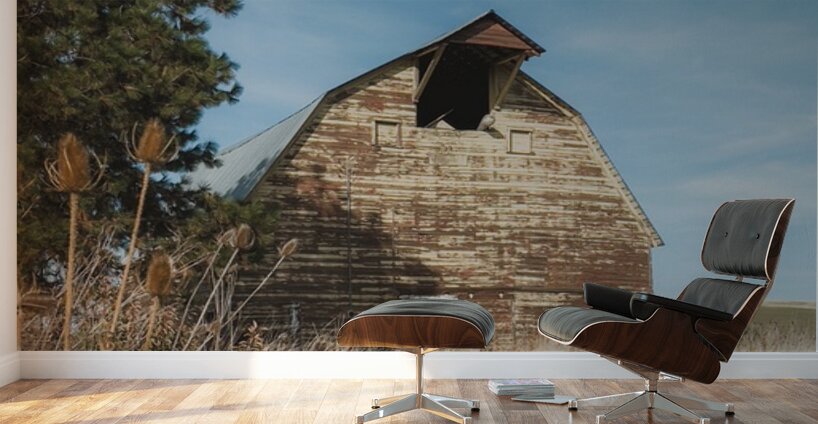 Colfax Barn 3 Wall Murals