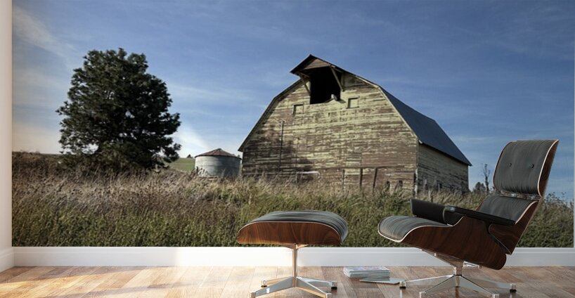 Colfax Barn 4 Wall Murals