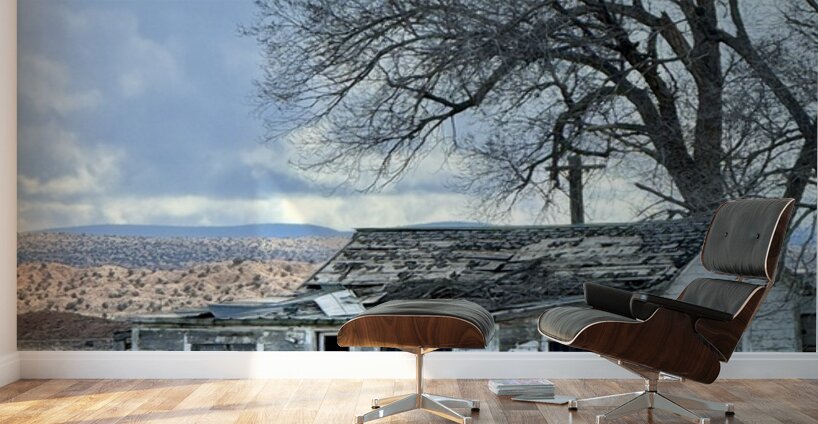 Farmhouse Decay - vertical Wall Murals