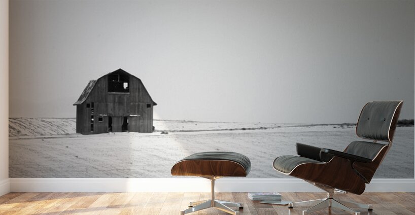 Standing Resolute Wall Murals