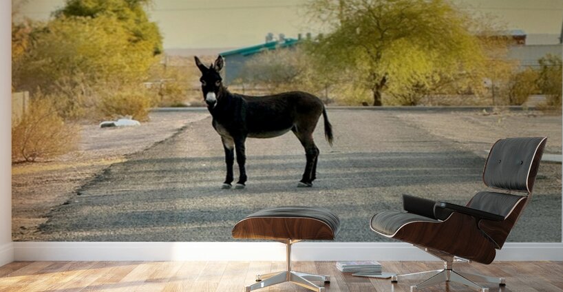 Topock Donkey Wall Murals