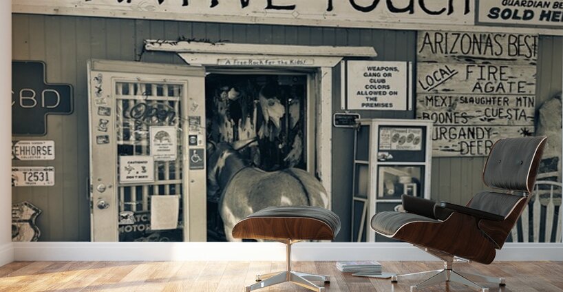 Oatman in a Nutshell Wall Murals