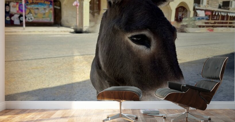 Oatman resident Wall Murals