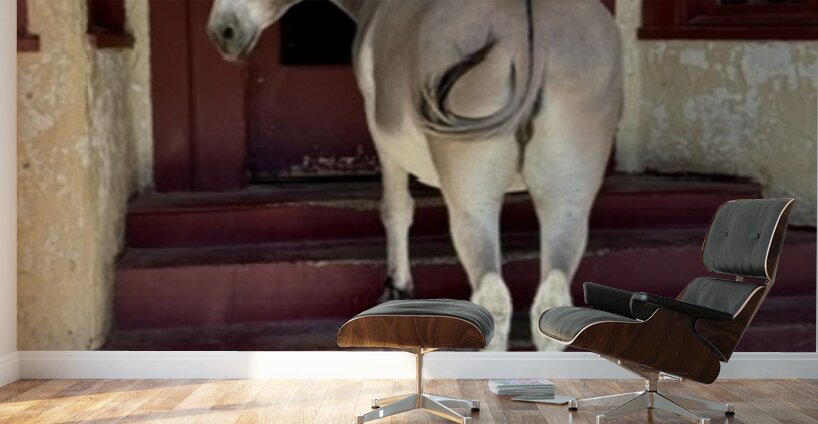 My eyes are up here  Wall Murals