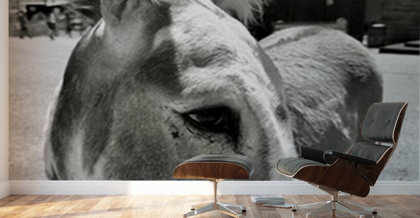 Oliver the Sheriff of Oatman - 2 Wall Murals