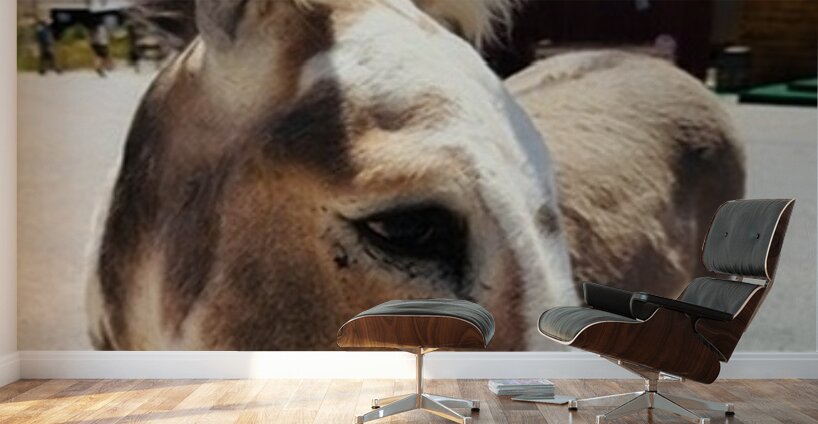 Oliver the Sheriff of Oatman -3 Wall Murals