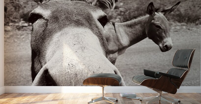 Welcome to Oatman Wall Murals