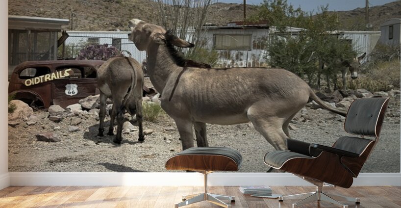 Street Party Wall Murals