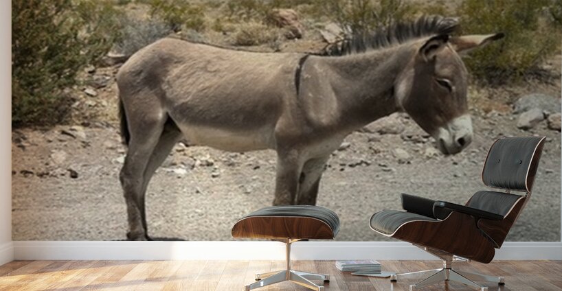 Heading to Oatman Wall Murals