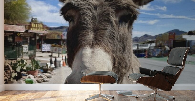 Oatman Donkey Wall Murals