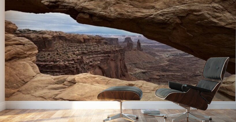 The land before time Wall Murals