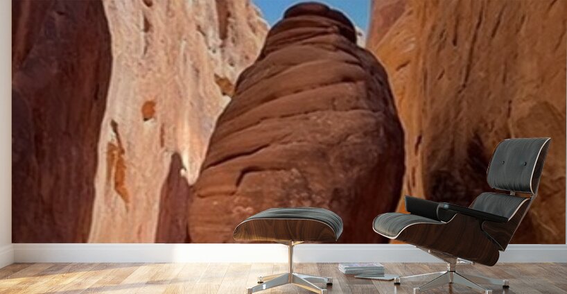 26EAC002 C0B5 4D42 B3FA A159C7E7639F 4 5005 c.jpe Wall Murals