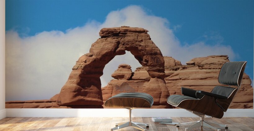 Delicate Arch Wall Murals