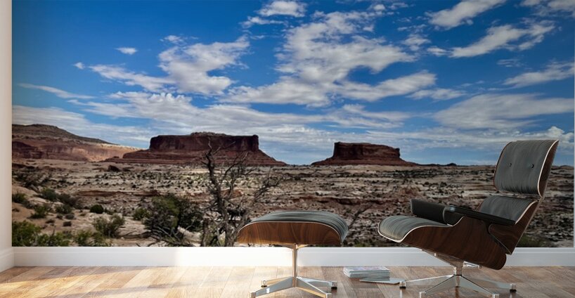 Monitor & Merrimack Rock - 2 Wall Murals