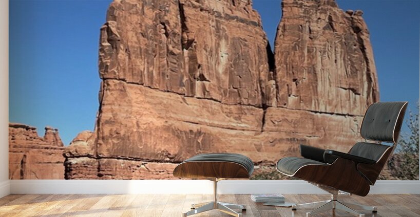 The Organ Wall Murals