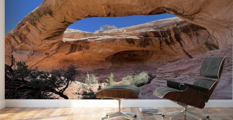 Gemini Twins Wall Murals