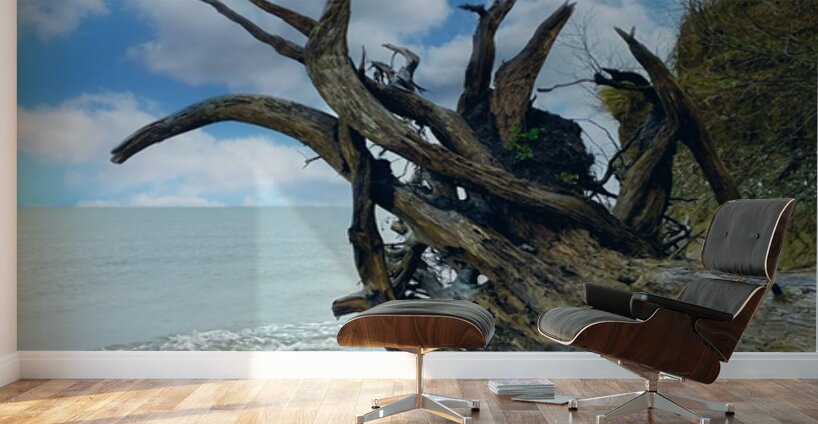 IMG 1646 Wall Murals