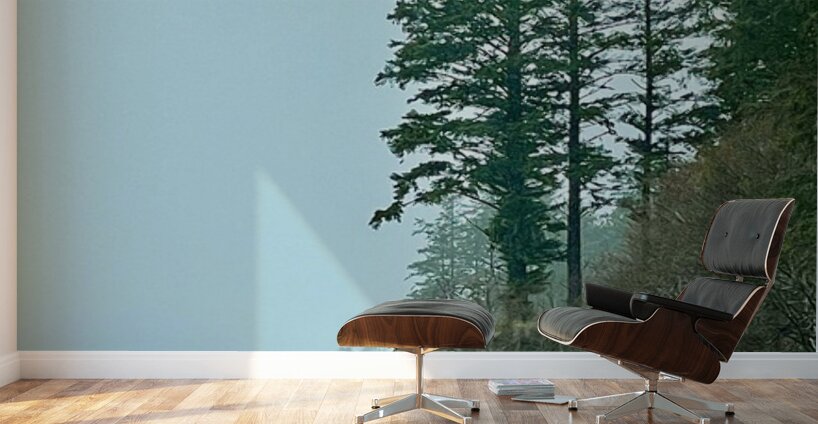 IMG 1639 Wall Murals