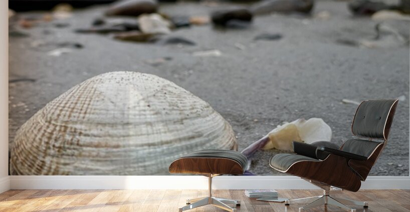 Keep Clam Wall Murals