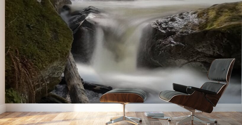 Forest Flow -2  Wall Murals