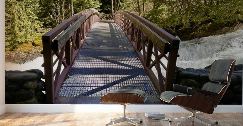 Bridge over Deception Falls Wall Murals