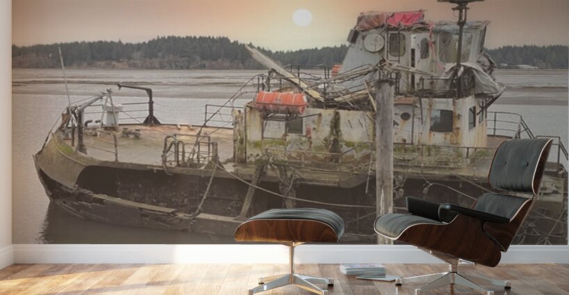 Faded Dreams Wall Murals