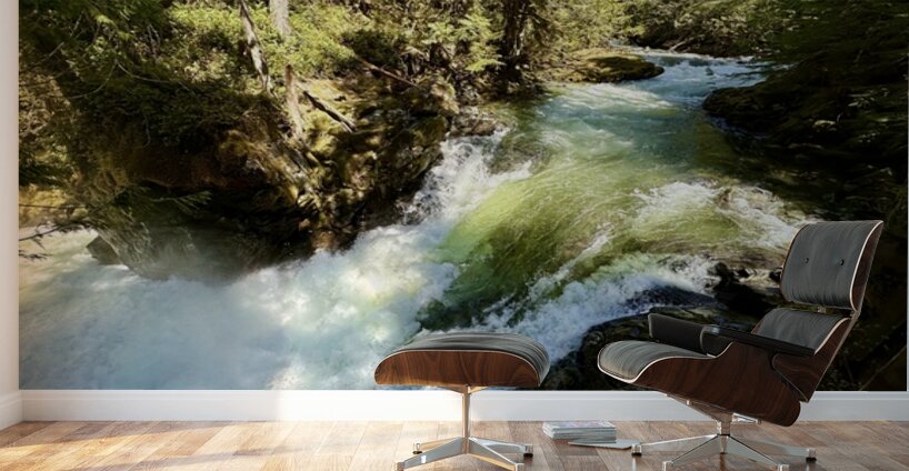 IMG 2459 Wall Murals