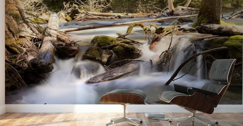 IMG 2445 Wall Murals