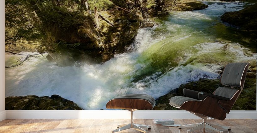 IMG 2460 Wall Murals