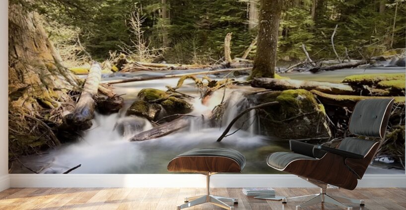 IMG 2442 Wall Murals