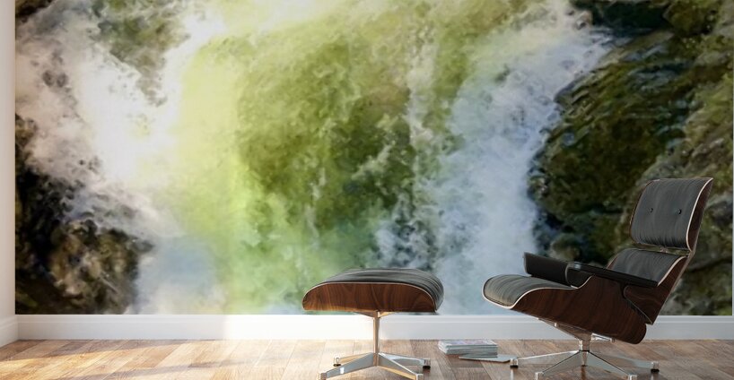 Deception Falls -1 Wall Murals