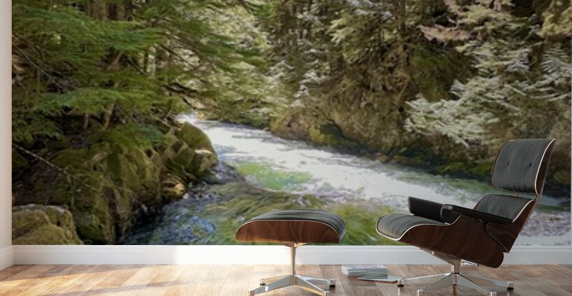 Beautiful…. Wall Murals