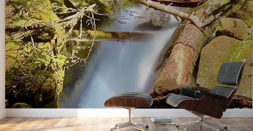 IMG 2510 Wall Murals