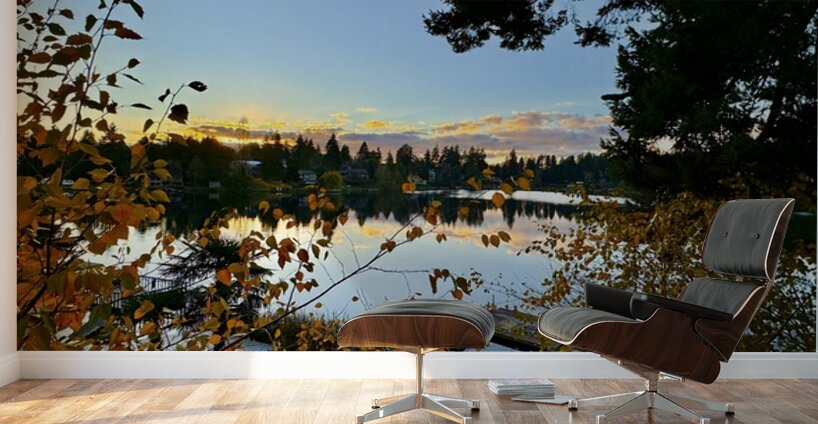 Star Lake Washington - 2 Wall Murals