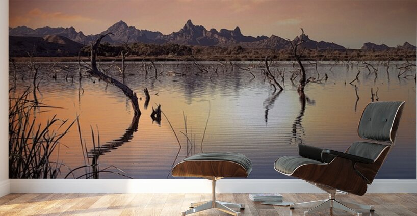 Catfish Paradise Wall Murals