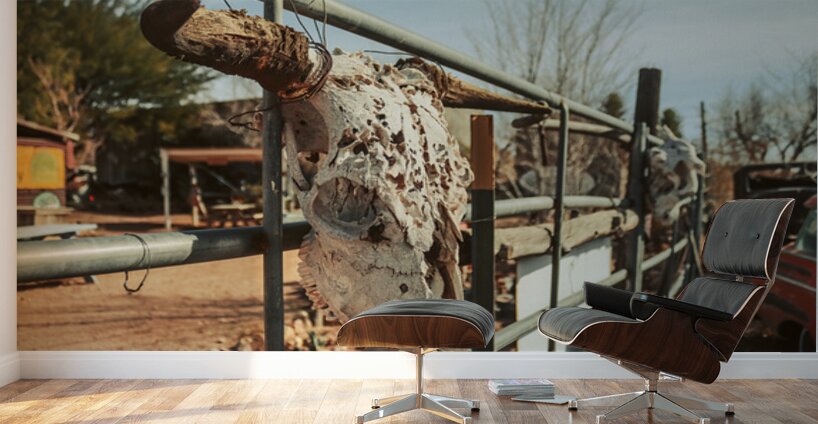 Weathered by Time Wall Murals