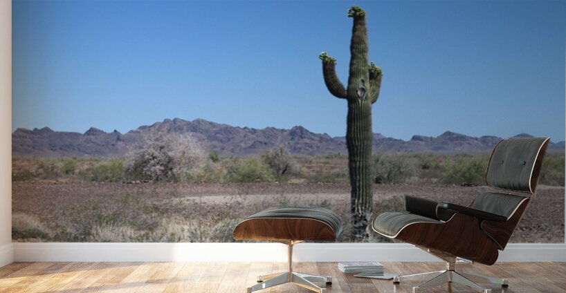 Saguaro desert scene Wall Murals