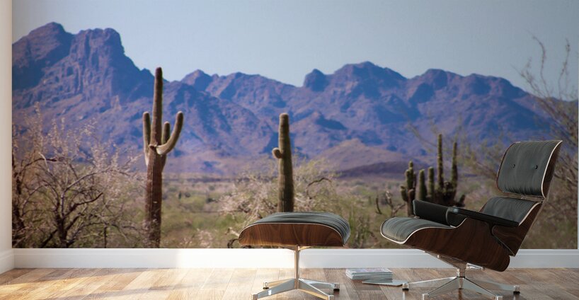 Desert landscape - Quartzsite Wall Murals