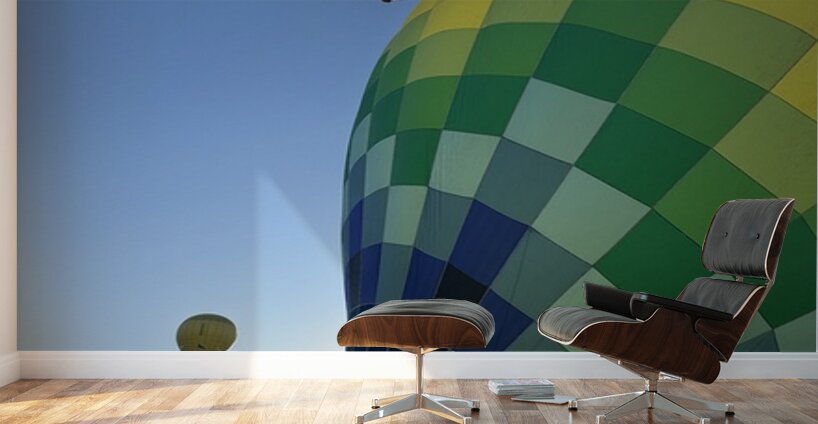 Bullhead City 5 Wall Murals