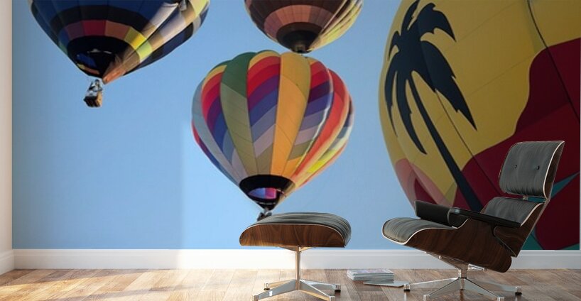 Bullhead City 3 Wall Murals