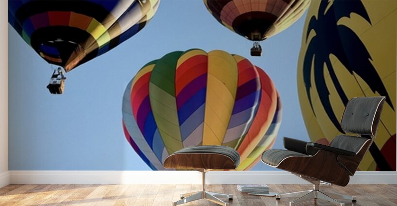 Bullhead City 2 Wall Murals