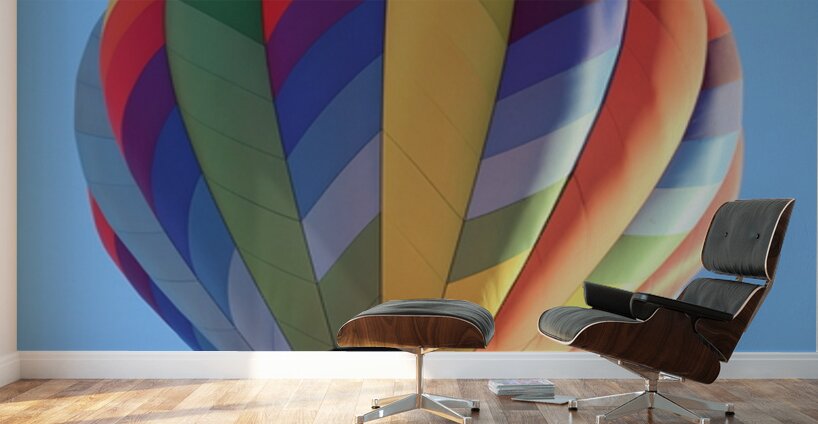 Bullhead City 1 Wall Murals