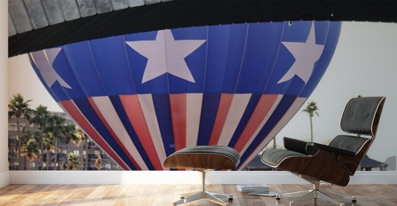 Splash and Dash Wall Murals